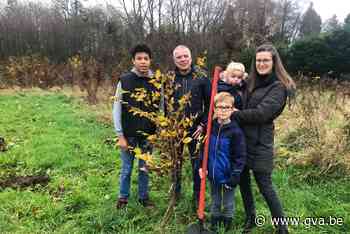 Geboortebos breidt uit met 130 boompjes (Lille) - Gazet van Antwerpen Mobile - Gazet van Antwerpen