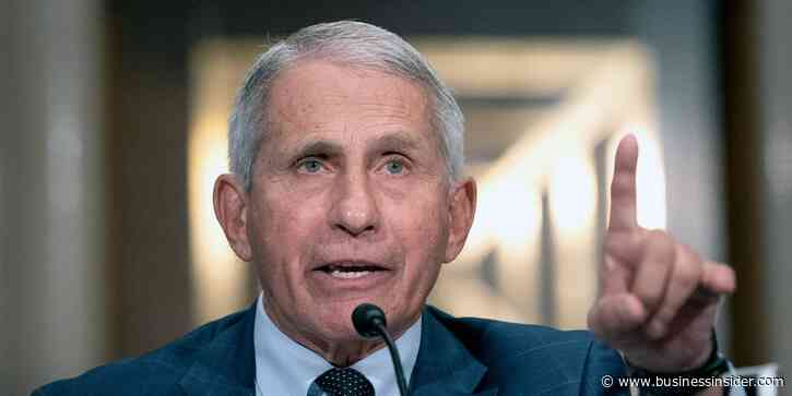 A little-known animal rights group directed a wave of anger at Fauci after NIAID was mistakenly listed as a backer for a beagle study