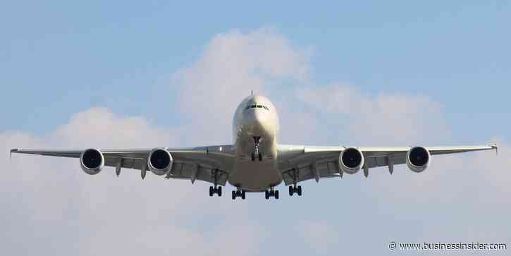 A transit union wants to put unruly plane passengers on a no-fly list to stifle the increase of assaults on plane crews