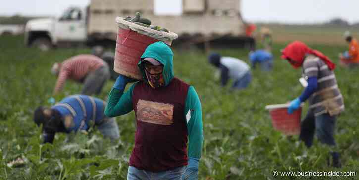 The US food supply chain relies heavily on foreign workers, and now those industries are suffering the worst labor shortages