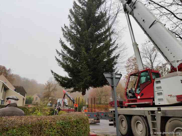Kerstboom voor Grote Markt gekapt in Dilbeek - Persinfo.org