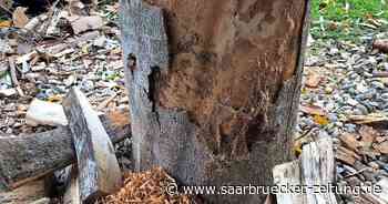 Kreis Neunkirchen:Warum das Brennholz für den Kamin momentan so knapp ist - Saarbrücker Zeitung