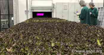 In southwest Ohio, technology is driving changes in food production - WYSO
