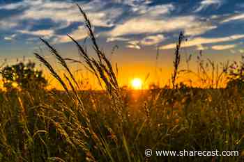 Sunday newspaper round-up: Food prices, Asos, Labour Squeeze - ShareCast