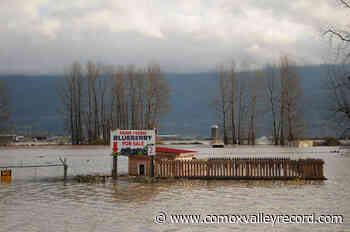 Abbotsford mayor cautiously optimistic but city bracing for more rain ahead – Comox Valley Record - Comox Valley Record