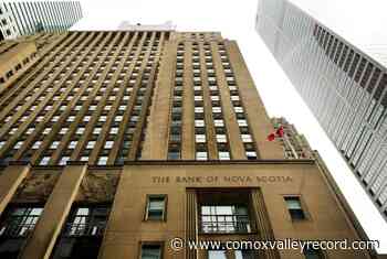 Scotiabank ditches resumés for campus hiring, widening candidate pool - Comox Valley Record