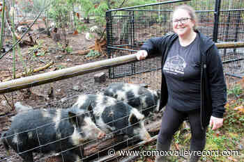 Transfer of animals from between Island sanctuaries completed in October - Comox Valley Record