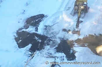 RCMP arrest 15 more opponents of northern BC pipeline project – Comox Valley Record - Comox Valley Record