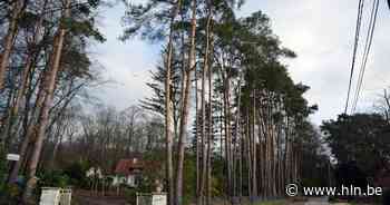 Op huizenjacht in... Rotselaar: “De thuisbasis van Rock Werchter neemt stilaan stedelijke woningprijzen over” - Het Laatste Nieuws