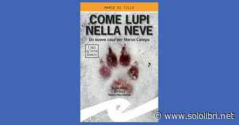 “Come lupi nella neve. Un nuovo caso per Marco Canepa” di Marco Di Tillo - Sololibri.net