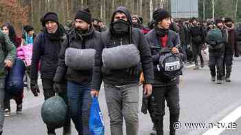 Angriff mit Steinen und Laser: 100 Migranten stürmen polnische Grenze - n-tv NACHRICHTEN