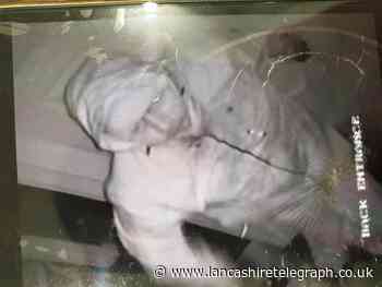 Burnley: Image of suspect following burglary at games store