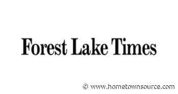 The art of the con | Arts and Entertainment | hometownsource.com - ECM Publishers