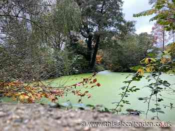 Bexley Mayor supports Thames Water on Danson Park sewage rumours