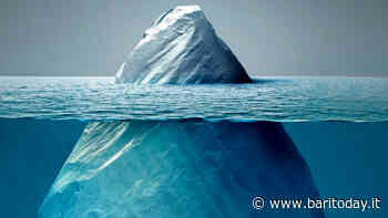 Io scelgo il Pianeta: a Bari il festival della sostenibilità ambientale con National Geographic e Rai Documentari - BariToday