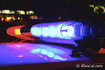 Walker County authorities arrest Jasper man for shooting dog with a crossbow - al.com