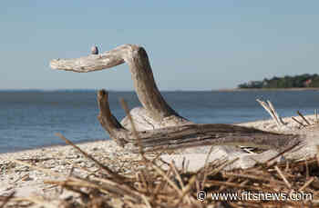 Letter: Jasper Ocean Terminal A 'Very Bad Idea' - FITSNews