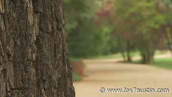 Austin Parks Foundation awards over $75K in 2021 fall grants - FOX 7 Austin