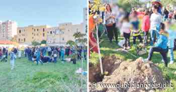 Bari, il picnic in città è un successo - Quotidiano del Sud