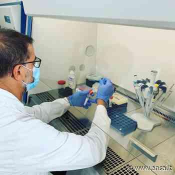 Influenza: isolato da Policlinico Bari primo caso al Sud - Salute & Benessere - Agenzia ANSA