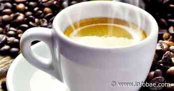 Desde Coatepec a Pluma Hidalgo: cuatro destinos para disfrutar de una exquisita taza de café - infobae América