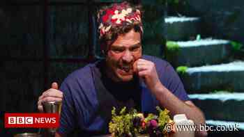 I'm A Celebrity: Former stars say 'embrace the testicle' for success