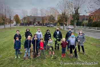 Kinderen en buren planten 276 bomen voor Wonderwoudje