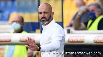 Parma senza sosta: ducali in campo per preparare la sfida di Como - TUTTO mercato WEB