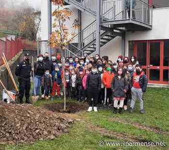 Giornata degli Alberi: Carabinieri e studenti di Parma mettono a dimora giovani piantine - Luca Galvani