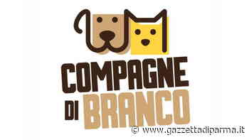 Il re del divano - Gazzetta di Parma