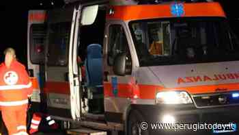 Perugia-Crotone 2-0, incidente al Curi: tifoso trasportato in ospedale - PerugiaToday