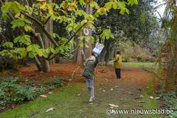 Arboretum in Kalmthout wint internationale wedstrijd van Britse Royal Horticultural Society: “Alsof je een Oscar wint”