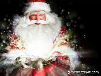 David's wacky and wonderful holiday gift guide 2021