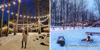 This Trail Near Toronto Leads You Through An Illuminated Forest & Is Better Than Ever - Narcity Canada