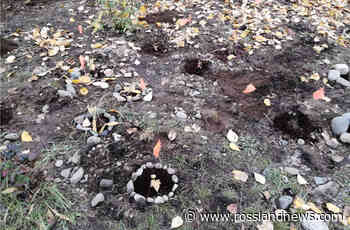 Trail students help with habitat enhancement at Beaver Creek Park - Rossland News