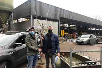 Kastelse inwoners halen 1.001 bomen op (Kasterlee) - Gazet van Antwerpen Mobile - Gazet van Antwerpen