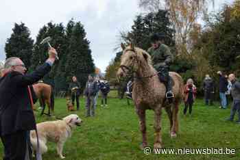 “Sinds twee jaar stap ik met stoel op, maar voor de rest lukt paardrijden nog prima”