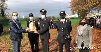 La scuola Frosini festeggia la Giornata degli alberi - tvprato.it