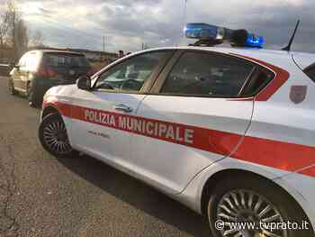Fugge all'alt della municipale perché guidava senza patente - tvprato.it