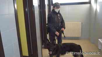 Controlli anti-droga al Gramsci-Keynes Hashish nei bagni - Il Tirreno