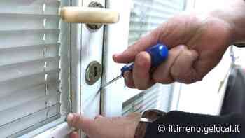 Rubano i salvadanai delle bambine e bastonano i cani - Il Tirreno