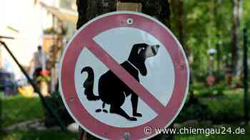 Tittmoning: Klagen über Hunde-„Häufchen“ am Schulhof - chiemgau24.de