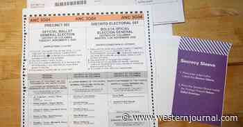 Washington, DC, Election Auditor: Over 10% of Mail-In Ballots 'Undeliverable' in 2020