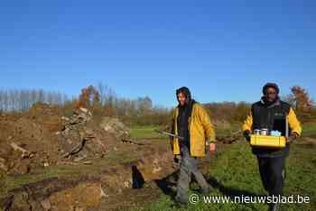 Stuk opgehoogd Viersels Gebroekt wordt afgegraven voor zomerklokje en blauwborst