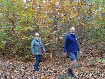Leden van Wandelend Paal trekken door holle wegen - Het Belang van Limburg