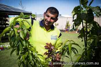 Kialla gardener breaks world record - Country News