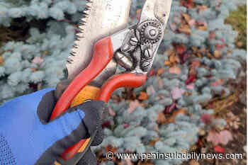 A GROWING CONCERN: Checking the gardener's wish list - Peninsula Daily News