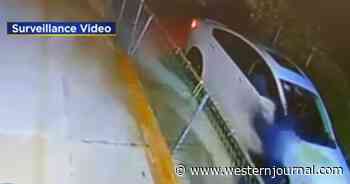 Delivery Driver Uses Gun to Turn the Tables on Robbery Suspects