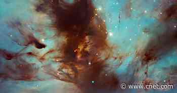 Hubble peers into 'dark, dusty heart' of the stunning Flame Nebula     - CNET