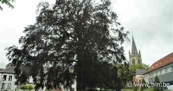 Op huizenjacht in... Ronse: “De Koningin van de Vlaamse Ardennen trekt steeds meer gegadigden” - Het Laatste Nieuws